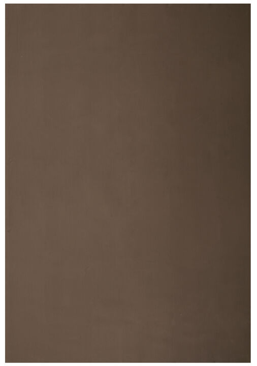 Premium 2' x 4' Rug Pad